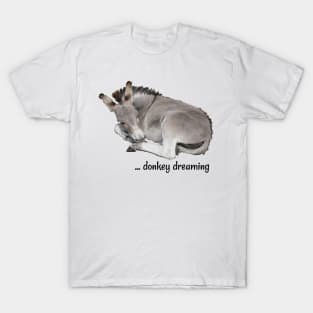 Grey Donkey Dreaming T-Shirt